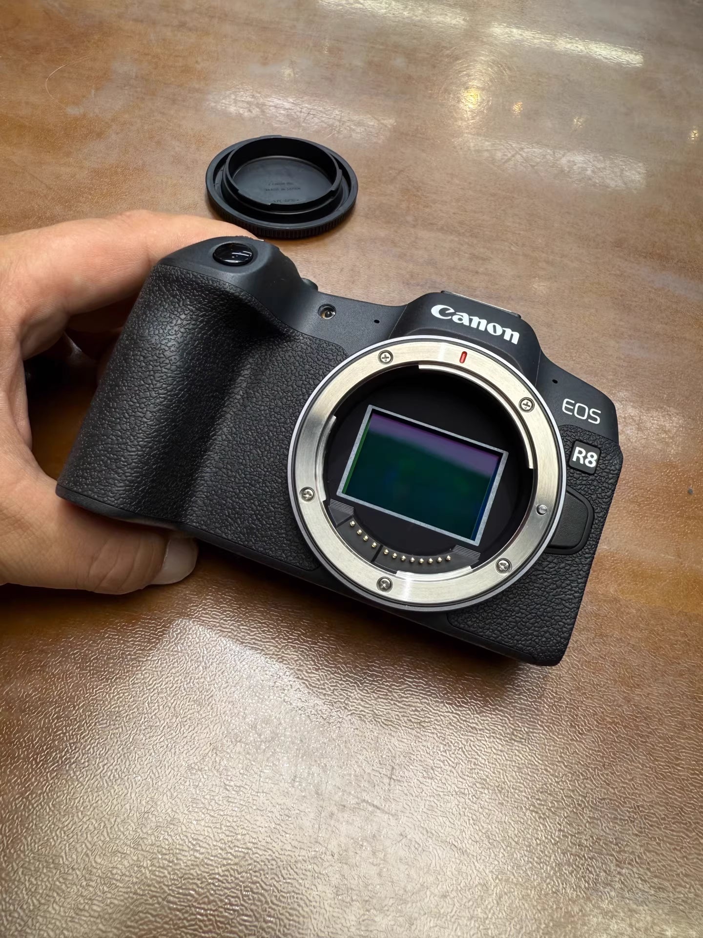 Canon EOS R8 Mirrorless Camera