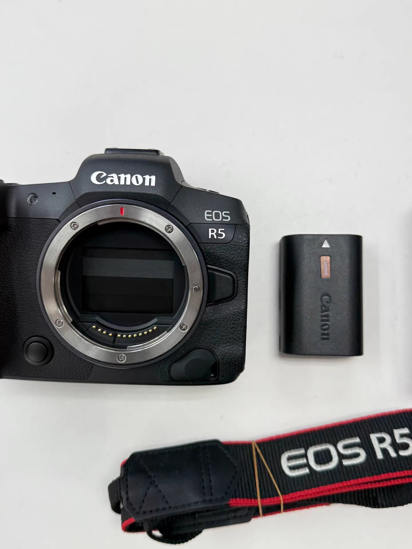 Canon EOS R5 Mirrorless Camera